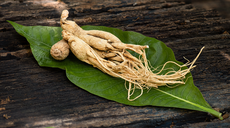 Cum pot suplimentele cu ginseng îmbunătăți funcția cognitivă?